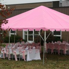 Barbie-Themed Package